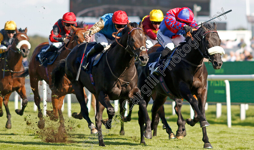 Aesterius-0003 
 AESTERIUS (left, James Doyle) beats BIG MOJO (right) in The Carlsberg Danish Pilsner Flying Childers Stakes
Doncaster 13 Sep 2024 - Pic Steven Cargill / Racingfotos.com