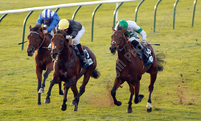 Ginistrelli-0002 
 GINISTRELLI (centre, Gerald Mosse) beats JAMES PARK WOODS (right) and FAYLAQ (left) in The British EBF Novice Stakes
Newmarket 24 Oct 2018 - Pic Steven Cargill / Racingfotos.com