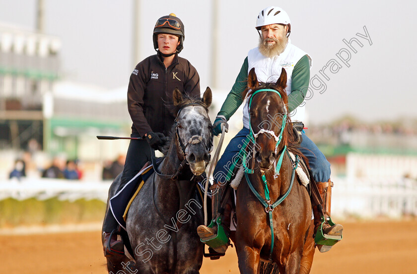 Happy-Power-0001 
 HAPPY POWER training for the Turf Sprint
King Abdulaziz Racetrack, Riyadh, Saudi Arabia 24 Feb 2022 - Pic Steven Cargill / Racingfotos.com