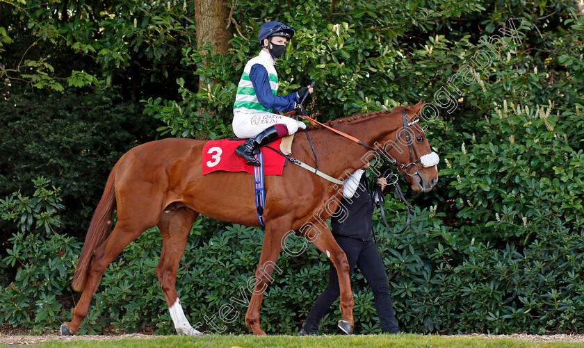 Juan-De-Montalban-0001 
 JUAN DE MONTALBAN (Oisin Murphy) before winning The bet365.com Handicap
Sandown 23 Apr 2021 - Pic Steven Cargill / Racingfotos.com