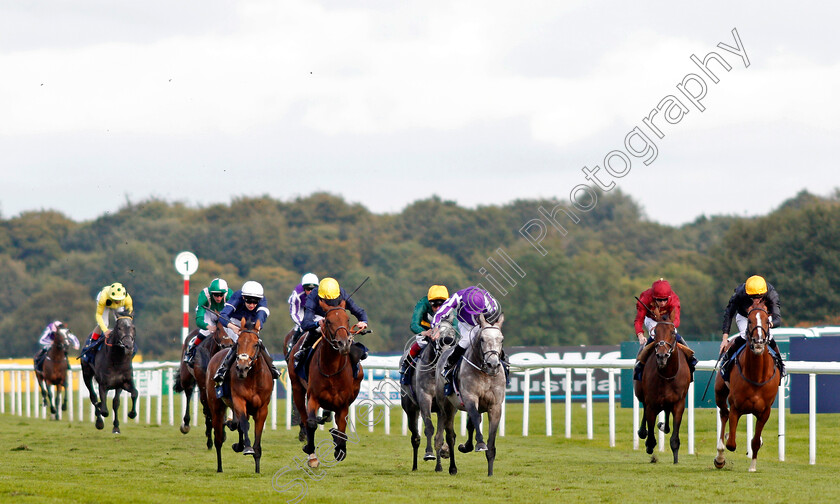 Capri-0002 
 CAPRI (centre, Ryan Moore) beats CRYSTAL OCEAN (4th right) and STRADIVARIUS (right) in The William Hill St Leger Doncaster 16 Sep 2017 - Pic Steven Cargill / Racingfotos.com