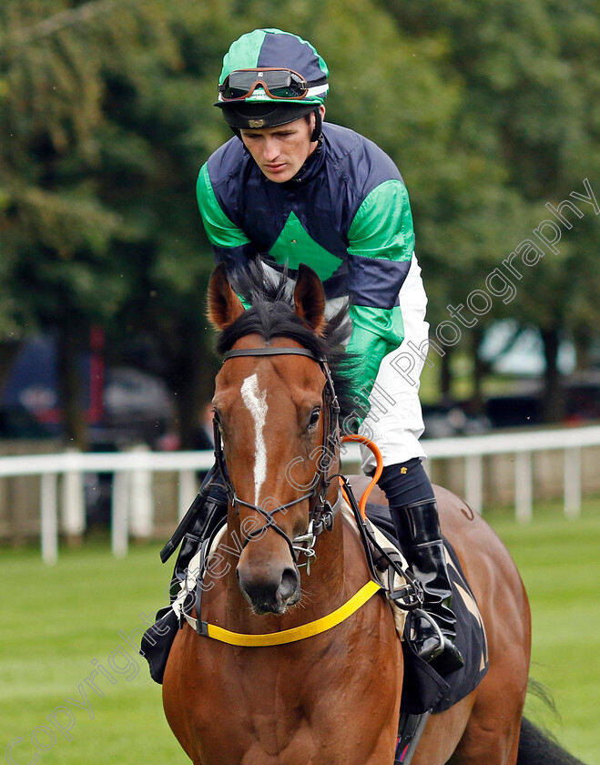 Rusheen-Boy-0001 
 RUSHEEN BOY (Dylan Hogan)
Newmarket 28 Jul 2023 - Pic Steven Cargill / Racingfotos.com