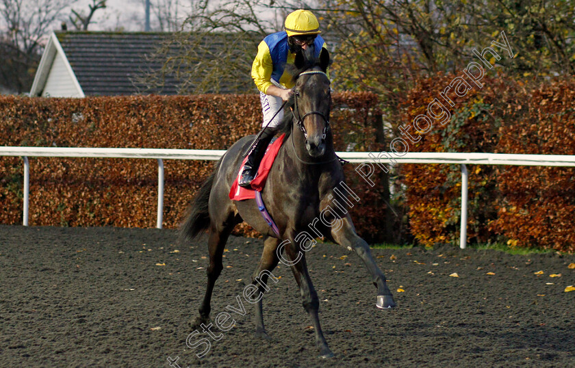 Popmaster-0001 
 POPMASTER (Tom Marquand) winner of The Unibet British Stallion Studs EBF Novice Auction Stakes
Kempton 25 Nov 2020 - Pic Steven Cargill / Racingfotos.com