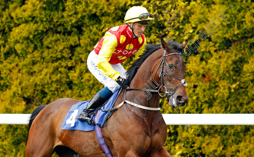 Powerdress-0002 
 POWERDRESS (William Carver)
Salisbury 16 Jun 2024 - Pic Steven Cargill / Racingfotos.com