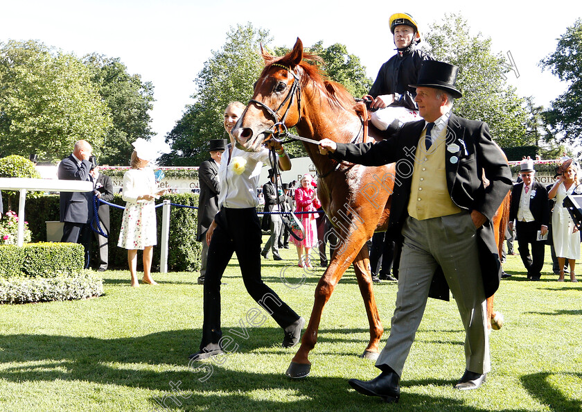 Agrotera-0007 
 AGROTERA (Jamie Spencer) with Bjorn Nielsen after The Sandringham Stakes 
Royal Ascot 22 Jun 2018 - Pic Steven Cargill / Racingfotos.com