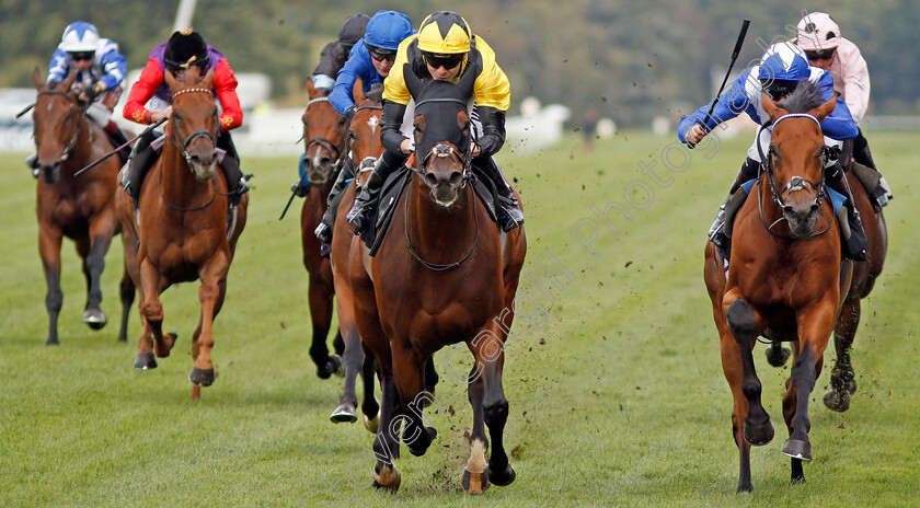 Bless-Him-0005 
 BLESS HIM (centre, Jamie Spencer) beats LORD NORTH (right) in The Lexicon Bracknell Handicap
Ascot 6 Sep 2019 - Pic Steven Cargill / Racingfotos.com