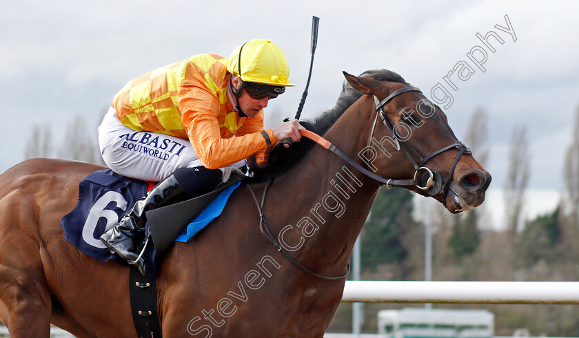 Tinker-Toy-0007 
 TINKER TOY (Jack Mitchell) wins The Mansionbet Lady Wulfruna Stakes
Wolverhampton 12 Mar 2022 - Pic Steven Cargill / Racingfotos.com