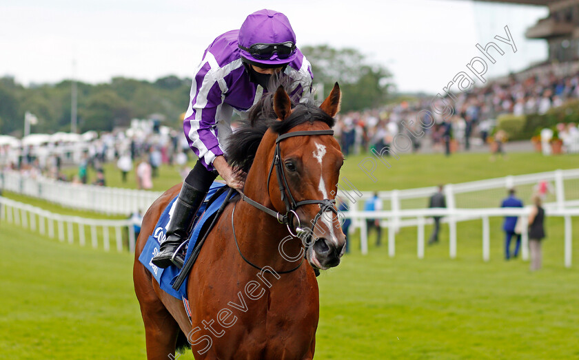 St-Mark s-Basilica-0005 
 ST MARK'S BASILICA (Ryan Moore) before winning The Coral Eclipse Stakes
Sandown 3 Jul 2021 - Pic Steven Cargill / Racingfotos.com