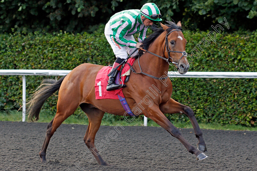 Dream-Harder-0001 
 DREAM HARDER (Shane Kelly)
Kempton 3 Sep 2021 - Pic Steven Cargill / Racingfotos.com