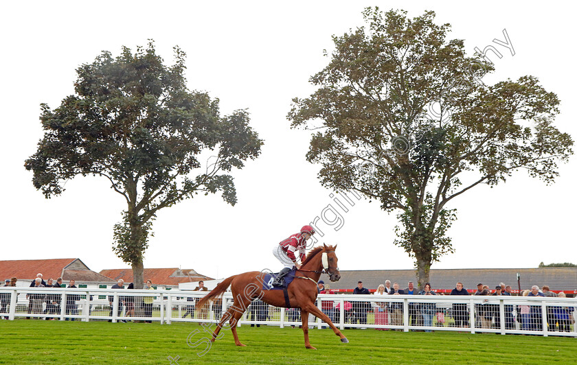 Sharp-Distinction-0001 
 SHARP DISTINCTION (Adam Farragher)
Yarmouth 21 Sep 2023 - Pic Steven Cargill / Racingfotos.com