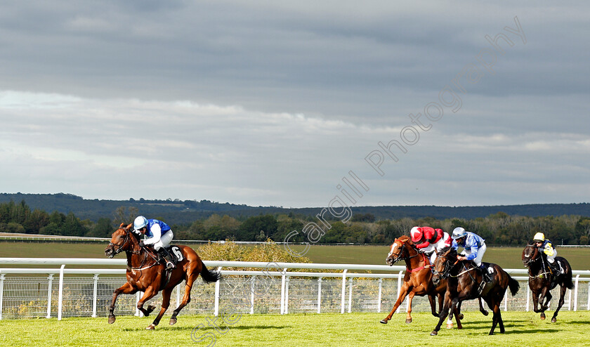 Rafiot-0001 
 RAFIOT (Ellie Vaughan) wins The Gay Kindersley Amateur Jockeys' Handicap Div2
Goodwood 30 Aug 2020 - Pic Steven Cargill / Racingfotos.com