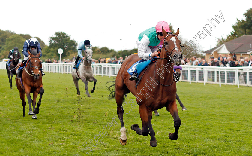 Opinionate-0002 
 OPINIONATE (Jim Crowley) wins The Lester Brunt Wealth Management Handicap Salisbury 7 Sep 2017 - Pic Steven Cargill / Racingfotos.com