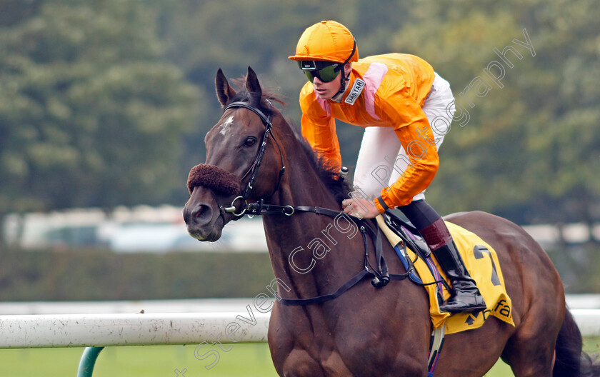 Rajinsky-0001 
 RAJINSKY (Brandon Wilkie)
Haydock 7 Sep 2024 - Pic Steven Cargill / Racingfotos.com