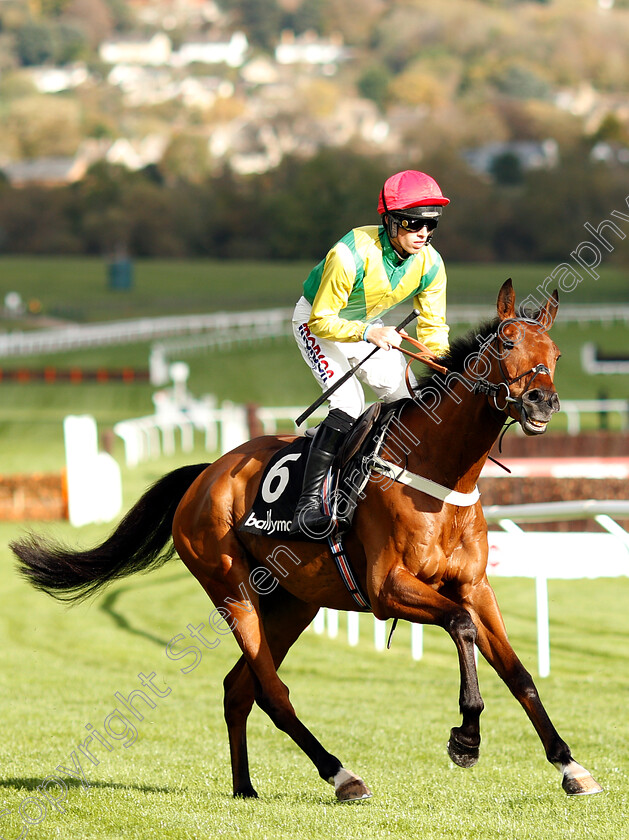 Sizing-Cusimano-0001 
 SIZING CUSIMANO (Harry Cobden)
Cheltenham 26 Oct 2018 - Pic Steven Cargill / Racingfotos.com