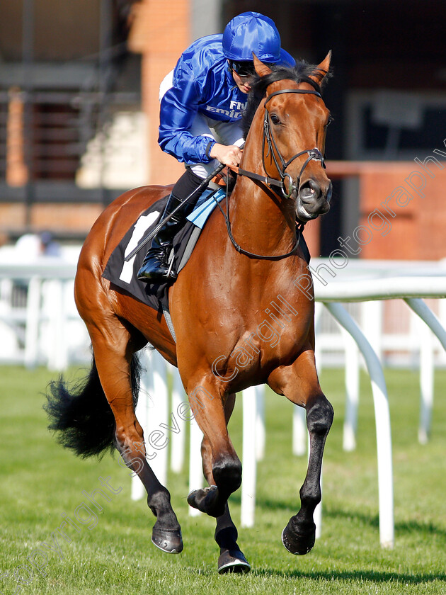 Rastrelli-0001 
 RASTRELLI (William Buick) winner of The Dubai Duty Free Golf World Cup British EBF Conditions Stakes Newbury 20 Apr 2018 - Pic Steven Cargill / Racingfotos.com