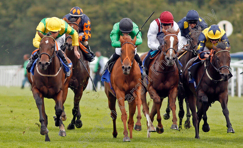 Anna-Nerium-0001 
 ANNA NERIUM (centre, Tom Marquand) beats EIRENE (left) and ONE MINUTE (right) in The Bathwick Tyres Dick Poole Fillies Stakes Salisbury 7 Sep 2017 - Pic Steven Cargill / Racingfotos.com