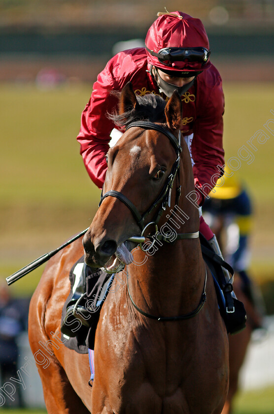 Twilight-Heir-0001 
 TWILIGHT HEIR (Oisin Murphy)
Goodwood 11 Oct 2020 - Pic Steven Cargill / Racingfotos.com