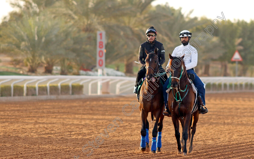 Country-Grammer-0001 
 COUNTRY GRAMMER training for the Saudi Cup
King Abdulaziz Racecourse, Kingdom Of Saudi Arabia, 23 Feb 2023 - Pic Steven Cargill / Racingfotos.com