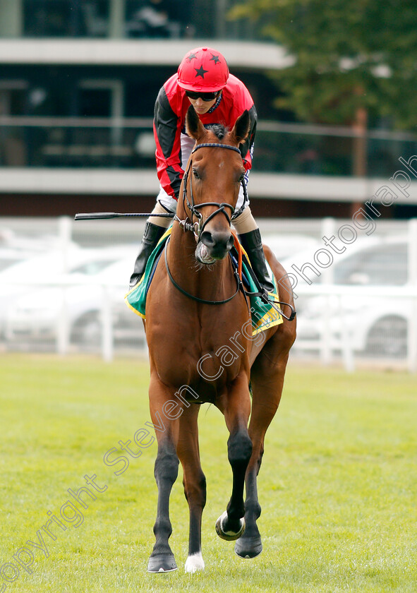 Oxted-0002 
 OXTED (David Probert)
Newbury 20 Jul 2019 - Pic Steven Cargill / Racingfotos.com