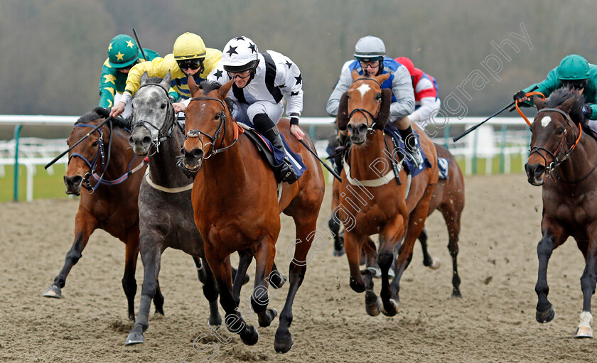 Curtiz-0004 
 CURTIZ (Charlie Bennett) wins The Heed Your Hunch At Betway Handicap
Lingfield 27 Jan 2021 - Pic Steven Cargill / Racingfotos.com