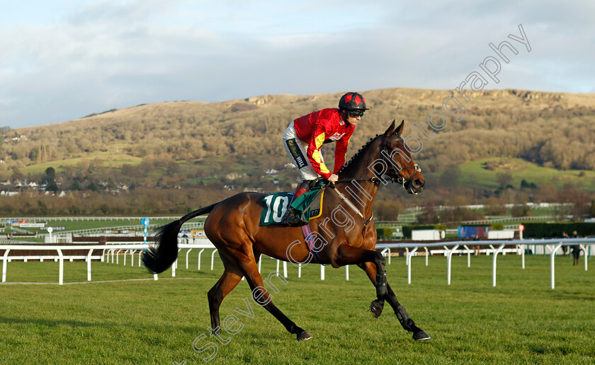 Guard-Your-Dreams-0001 
 GUARD YOUR DREAMS (Sam Twiston-Davies)
Cheltenham 14 Dec 2024 - Pic Steven Cargill / Racingfotos.com