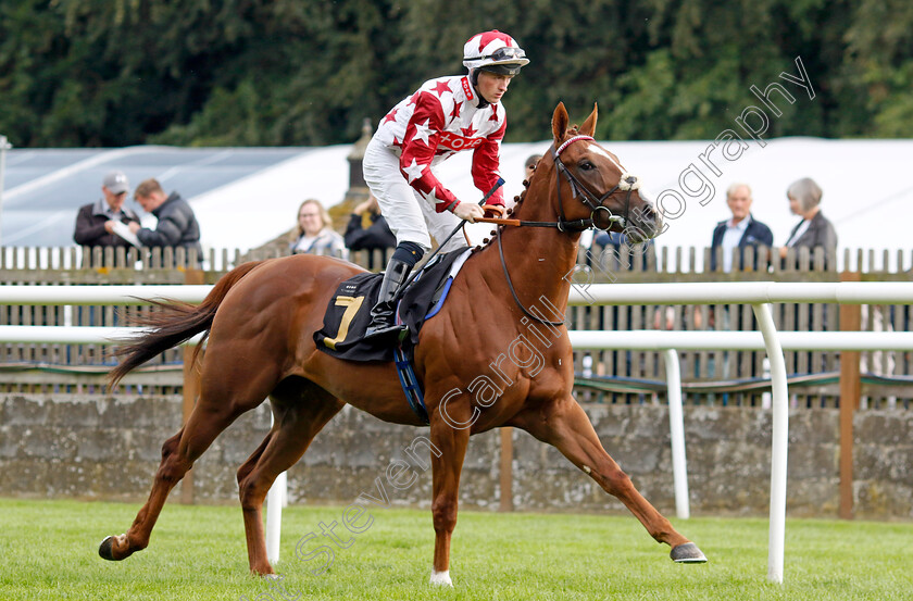 Tennessee-Gold-0001 
 TENNESSEE GOLD (Dylan Hogan)
Newmarket 4 Aug 2023 - Pic Steven Cargill / Racingfotos.com