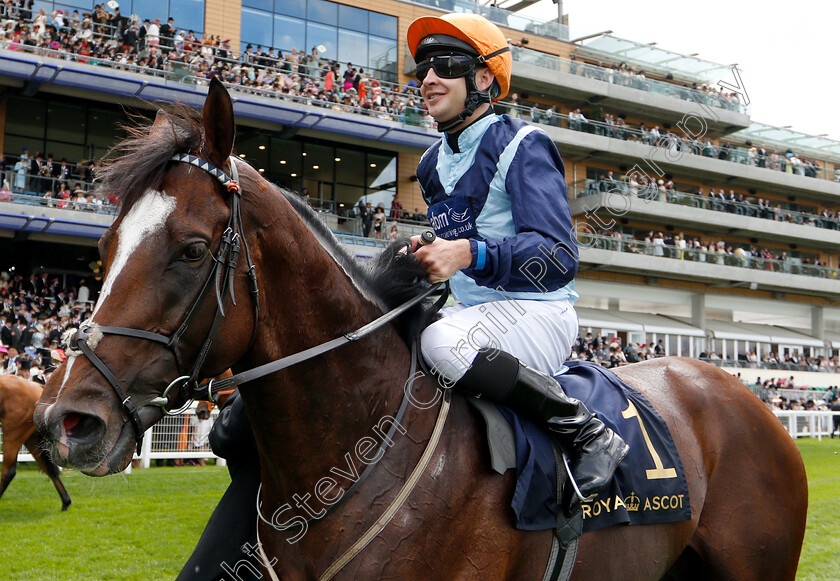 Accidental-Agent-0008 
 ACCIDENTAL AGENT (Charles Bishop) after The Queen Anne Stakes
Royal Ascot 19 Jun 2018 - Pic Steven Cargill / Racingfotos.com