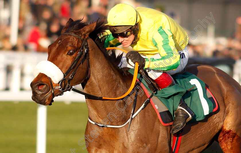 Synopsis-0005 
 SYNOPSIS (Richard Johnson) wins The CF Roberts Electrical & Mechanical Services Mares Handicap Chase
Cheltenham 14 Dec 2018 - Pic Steven Cargill / Racingfotos.com