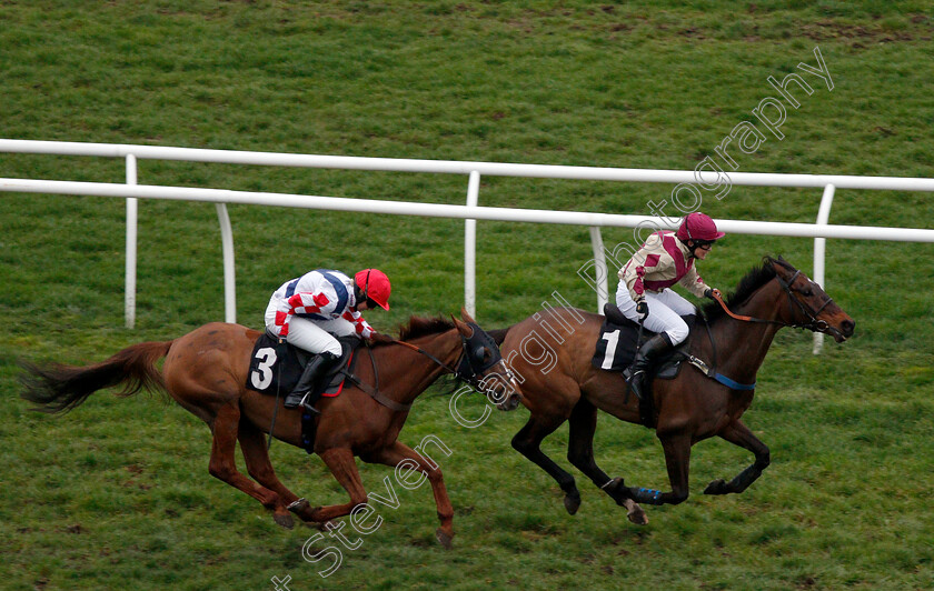 Master-Baker-0004 
 MASTER BAKER (right, Jo Supple) beats SOUTHFIELD VIC (left) in The BJP Insurance Brokers Open Hunters Chase
Newbury 22 Mar 2019 - Pic Steven Cargill / Racingfotos.com