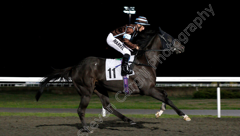 El-Borracho-0001 
 EL BORRACHO (Tom Marquand)
Kempton 27 Sep 2018 - Pic Steven Cargill / Racingfotos.com