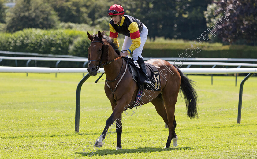 Maxzeno-0001 
 MAXZENO (Jack Gilligan)
Nottingham 19 Jul 2024 - Pic Steven Cargill / Megan Dent / Racingfotos.com