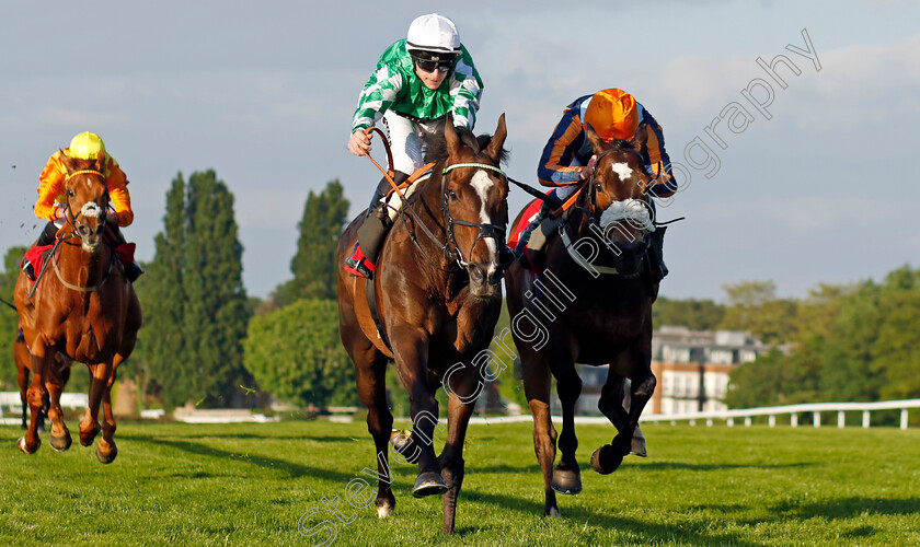 Roberto-Escobarr-0003 
 ROBERTO ESCOBARR (left, Richard Kingscote) beats NATE THE GREAT (right) in The Racehorse Lotto Henry II Stakes
Sandown 25 May 2023 - Pic Steven Cargill / Racingfotos.com