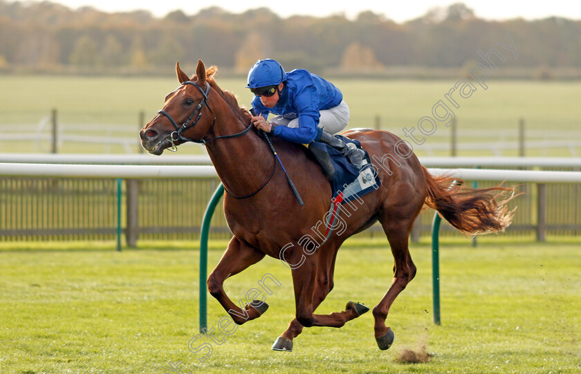 Castle-Way-0004 
 CASTLE WAY (William Buick) wins The British EBF Future Stayers Nursery
Newmarket 19 Oct 2022 - Pic Steven Cargill / Racingfotos.com