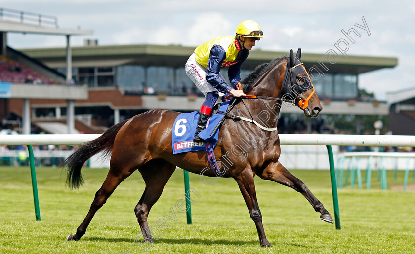 Point-Lynas-0001 
 POINT LYNAS (Callum Rodriguez)
Haydock 8 Jun 2024 - Pic Steven Cargill / Racingfotos.com