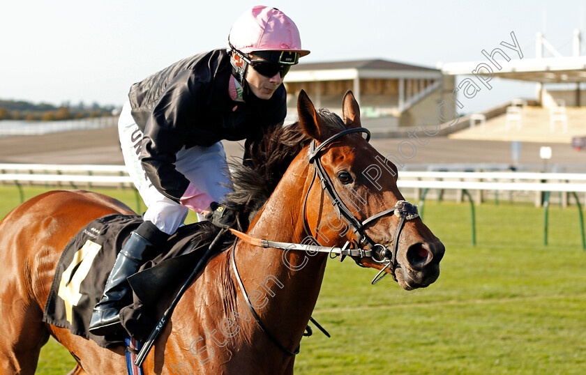 Folk-Dance-0004 
 FOLK DANCE (Jamie Spencer) wins The Close Brothers Asset Management EBF Stallions Fillies Handicap
Newmarket 19 Sep 2020 - Pic Steven Cargill / Racingfotos.com