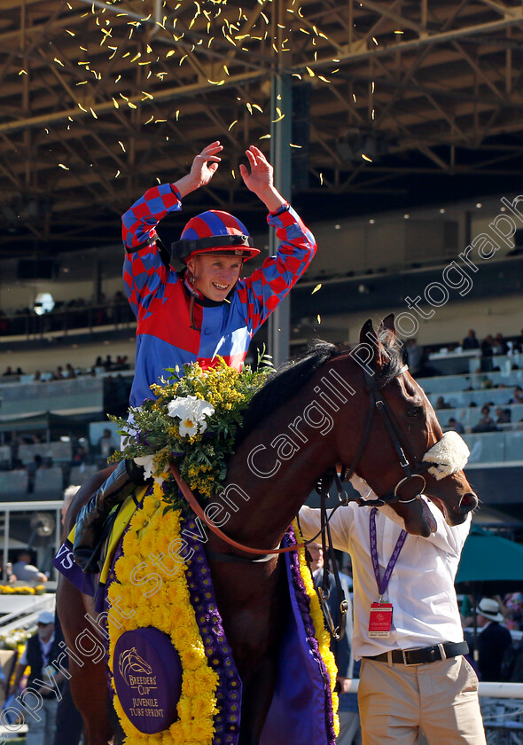 Big-Evs-0010 
 BIG EVS (Tom Marquand) winner of The Breeders' Cup Juvenile Turf Sprint
Santa Anita 3 Nov 2023 - Pic Steven Cargill / Racingfotos.com