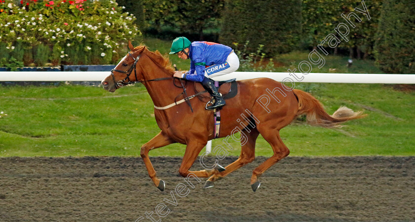 Rockit-Tommy-0002 
 ROCKIT TOMMY (David Probert) wins The Highclere Castle Feeds Handicap
Kempton 2 Oct 2024 - Pic Steven Cargill / Racingfotos.com