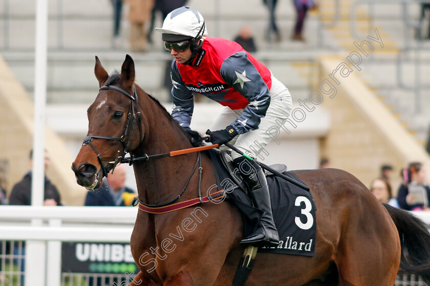 Primoz-0001 
 PRIMOZ (Derek Fox)
Cheltenham 17 Nov 2024 - Pic Steven Cargill / Racingfotos.com