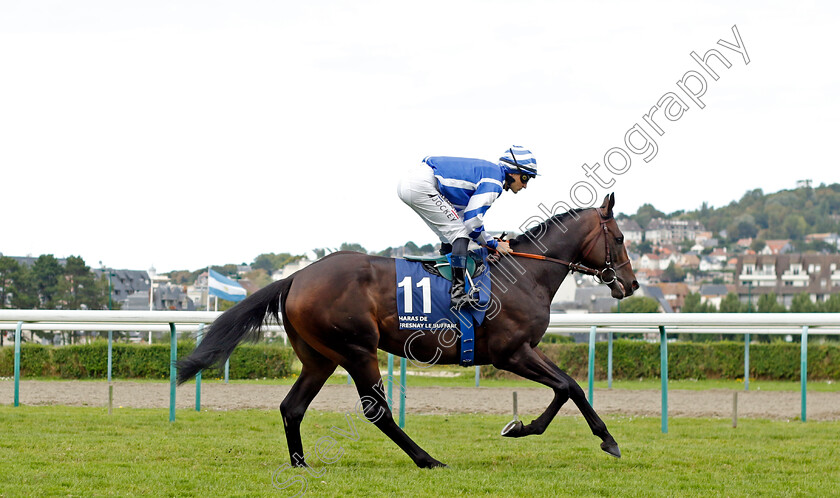 Big-Rock-0001 
 BIG ROCK (A Lemaitre)
Deauville 13 Aug 2023 - Pic Steven Cargill / Racingfotos.com