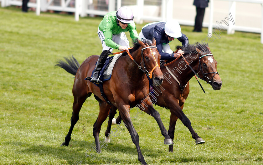 Arthur-Kitt-0007 
 ARTHUR KITT (left, Richard Kingscote) beats NATE THE GREAT (right) in The Chesham Stakes
Royal Ascot 23 Jun 2018 - Pic Steven Cargill / Racingfotos.com