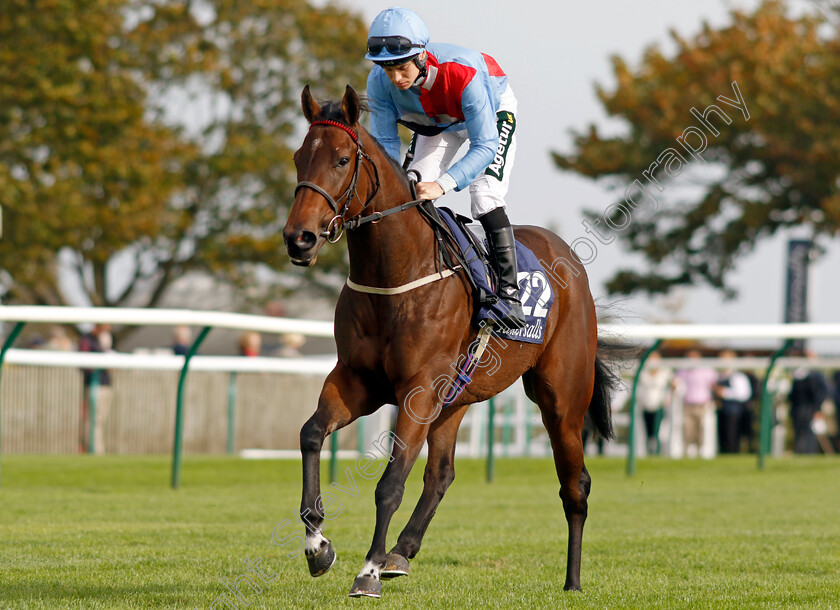 Priscilla s-Joy-0001 
 PRISCILLA'S JOY (George Rooke)
Newmarket 7 Oct 2023 - Pic Steven Cargill / Racingfotos.com