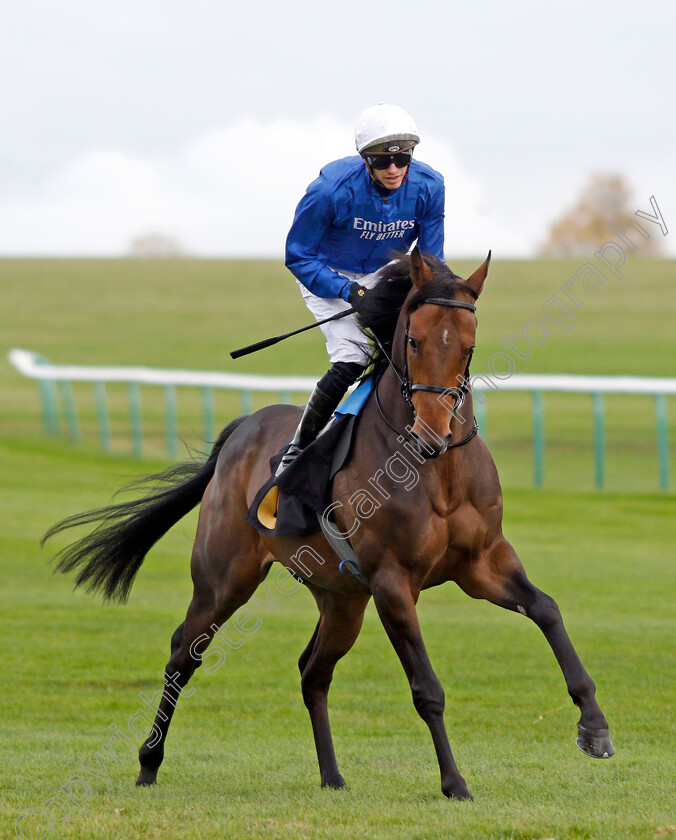 Neptune-Seas 
 NEPTUNE SEAS (James Doyle)
Newmarket 29 Oct 2021 - Pic Steven Cargill / Racingfotos.com