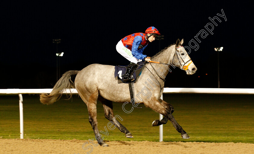 Master-Diver-0001 
 MASTER DIVER (Luke Morris)
Wolverhampton 7 Jan 2019 - Pic Steven Cargill / Racingfotos.com