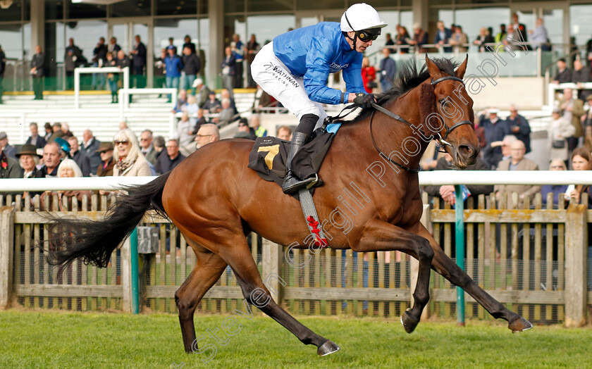 Tremorgio-0001 
 TREMORGIO (James Doyle) wins The Boodles Maiden Stakes
Newmarket 23 Oct 2024 - Pic Steven Cargill / Racingfotos.com