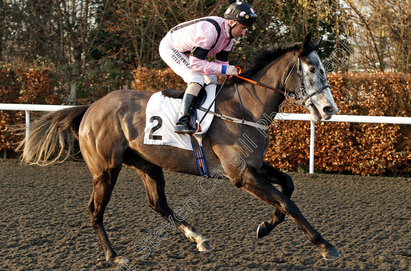 Wotamadam-0001 
 WOTAMADAM (Martin Dwyer)
Kempton 4 Jan 2019 - Pic Steven Cargill / Racingfotos.com