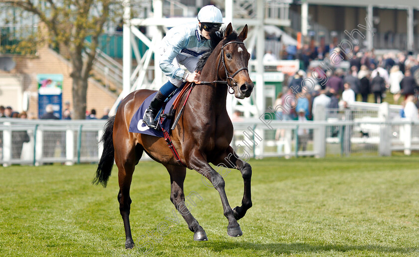 Homesick-Boy-0001 
 HOMESICK BOY (Daniel Muscutt)
Yarmouth 23 Apr 2019 - Pic Steven Cargill / Racingfotos.com