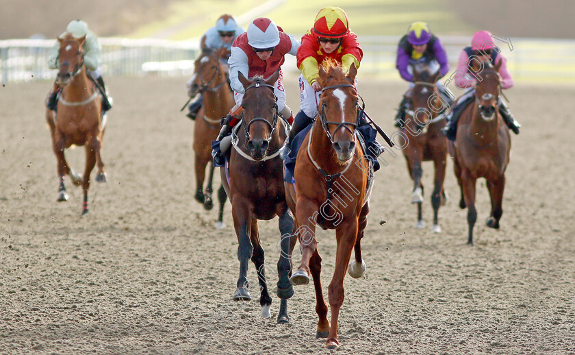 Harrison-Point-0003 
 HARRISON POINT (Hollie Doyle) beats THE WEED MACHINE (left) in The Ladbrokes Where The Nation Plays EBF Novice Stakes
Lingfield 9 Dec 2019 - Pic Steven Cargill / Racingfotos.com