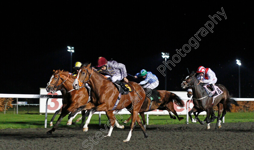 Qaysar-0004 
 QAYSAR (Sean Levey) wins The 32Red Casino EBFstallions.com Novice Stakes Div2 Kempton 22 Nov 2017 - Pic Steven Cargill / Racingfotos.com