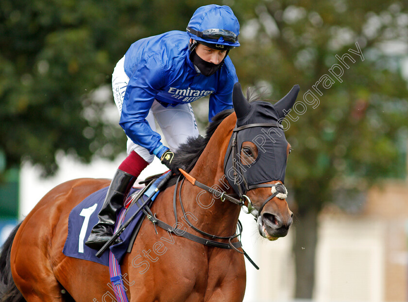 White-Mountain-0001 
 WHITE MOUNTAIN (Cieren Fallon)
Yamouth 15 Jul 2020 - Pic Steven Cargill / Racingfotos.com