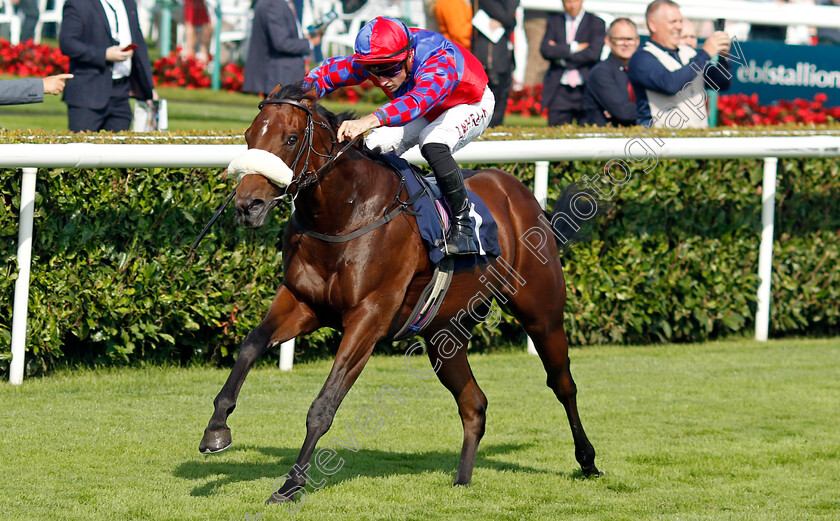 Big-Evs-0004 
 BIG EVS (Tom Marquand) wins The Carlsberg Danish Pilsner Flying Childers Stakes
Doncaster 15 Sep 2023 - Pic Steven Cargill / Racingfotos.com